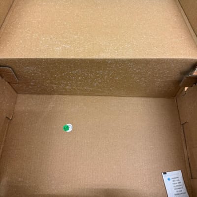 Before: white mould spots across the inside of a cardboard shoe box lid and walls